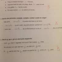 Examen de català